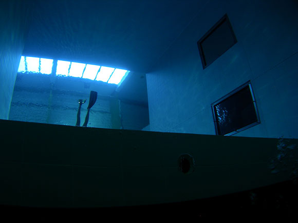 Nemo 33