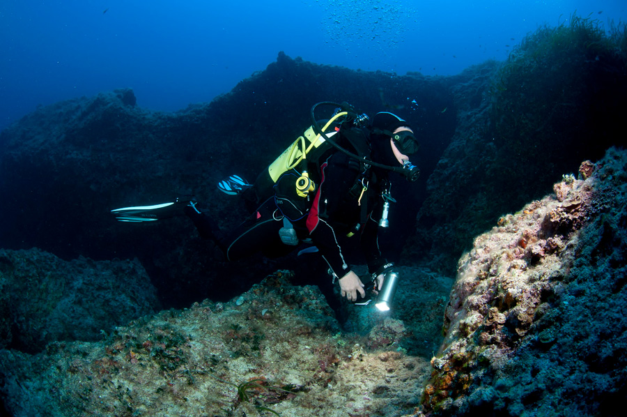 immersione subacquea su fondale in acque fredde