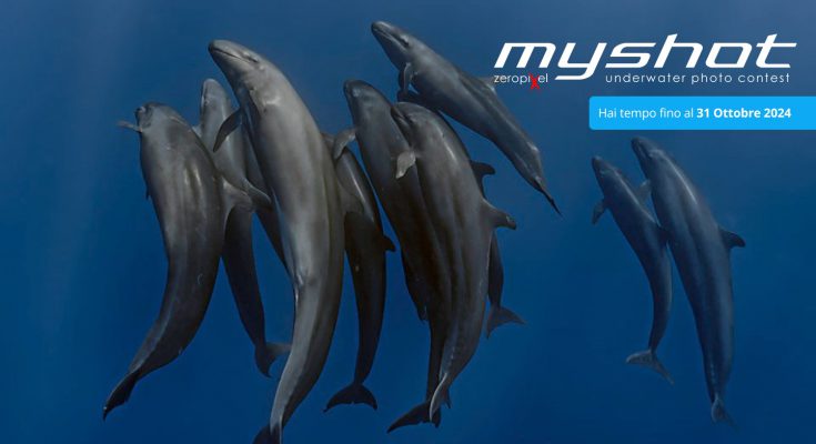 myshot 2024 scubaportal concorso fotografico subacqueo
