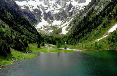 ripopolamento pesci lago svizzera
