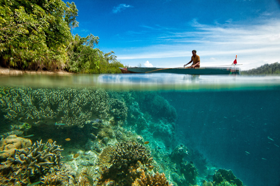 vista mare barriera indonesia coralli