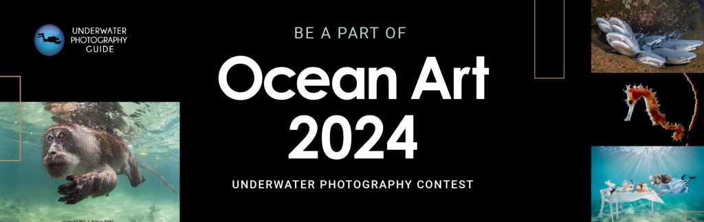 Ocean-Art-2024-iscrizioni