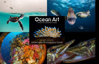 Ocean art 2024 iscrizioni