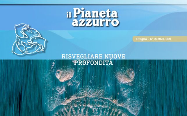 pianeta azzurro profondita 2 2024 foto pesce pietra formis