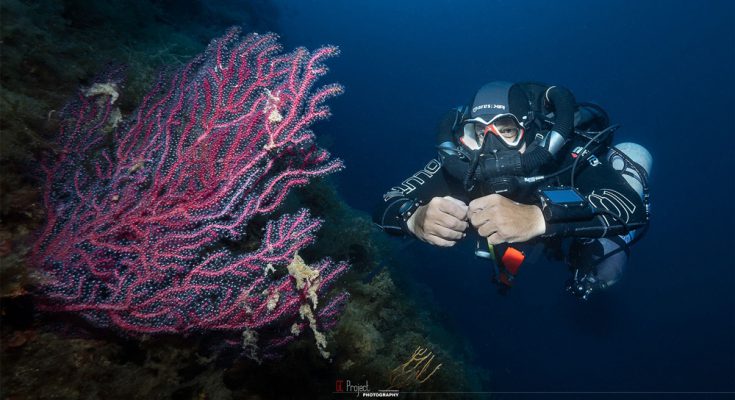 gorgonia immersione sub secca gonzatti