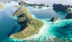 StAR Project raja ampat squali