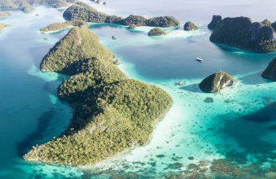 StAR Project raja ampat squali