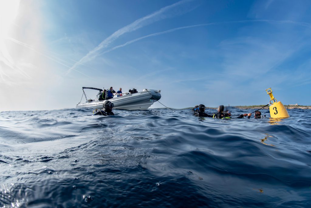 gruppo subacqueo isola elba