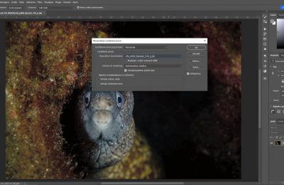 regolazione colori schermo fotografia subacquea